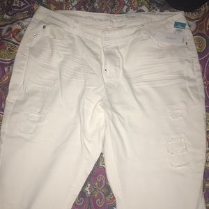 🌷🌸 Jump into Spring 🌷🌸